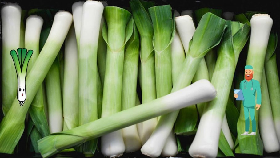 Лук порей Сибирский великан f1