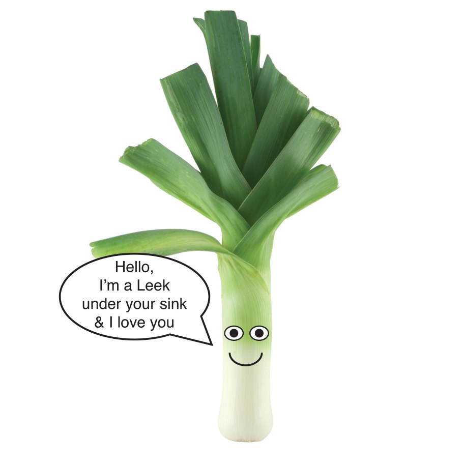 Leek лук порей