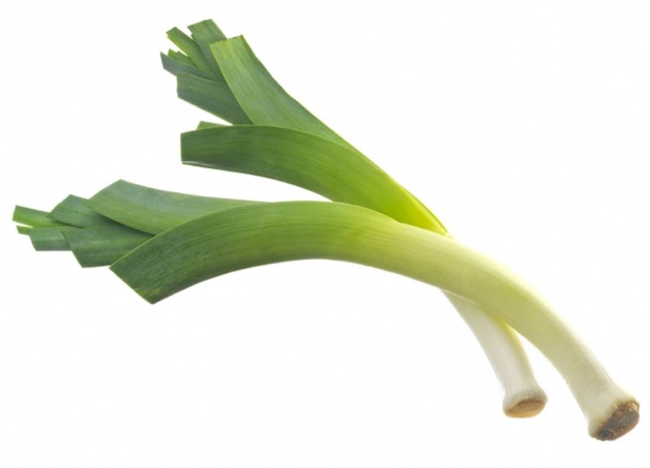 Leek лук порей