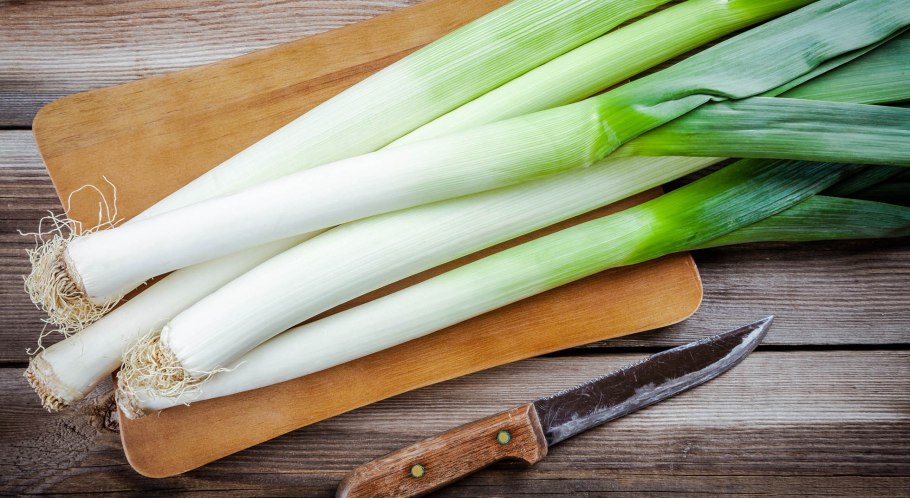 Leek лук порей