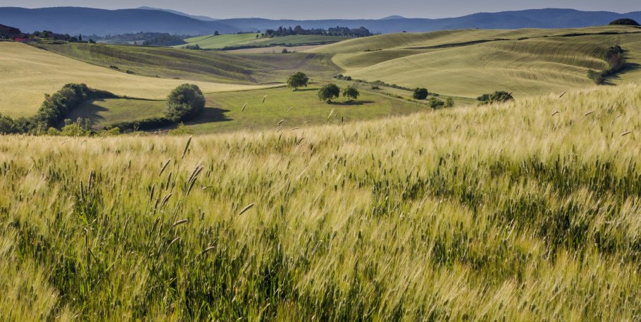Распашка степей и лугов