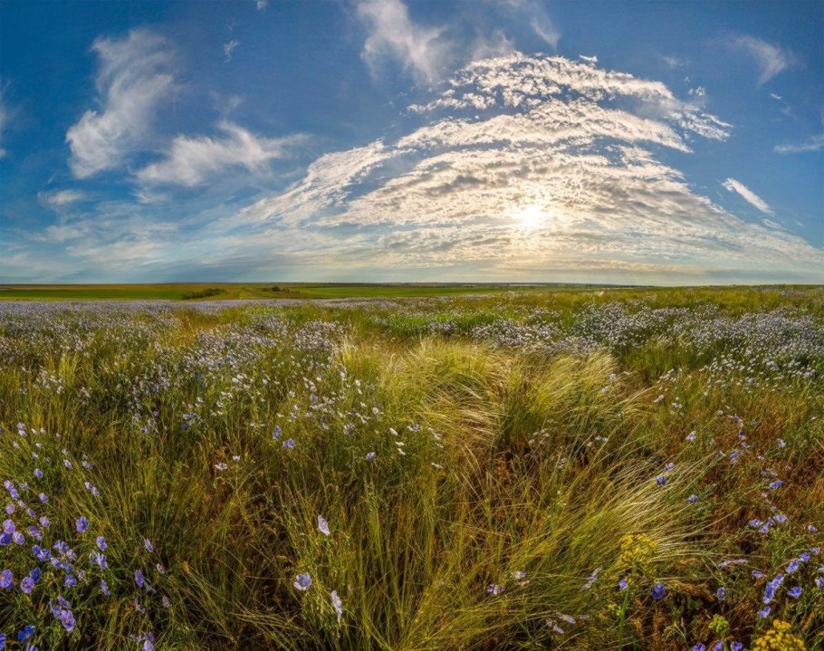 Злаково-разнотравные Луга