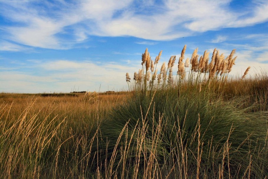 Пустыни New Mexico