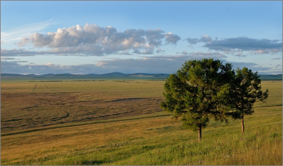 Тундра и степь