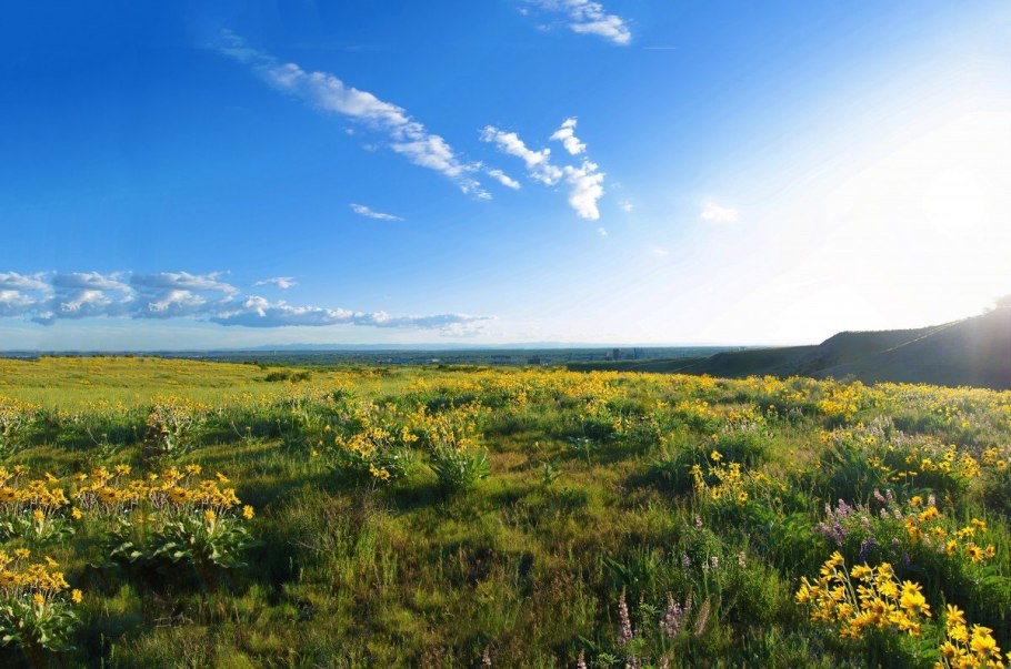 Кайраклинская лесостепь.