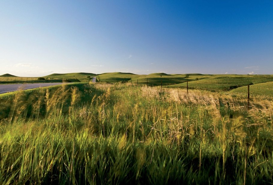 Низкотравные прерии в Северной Америке