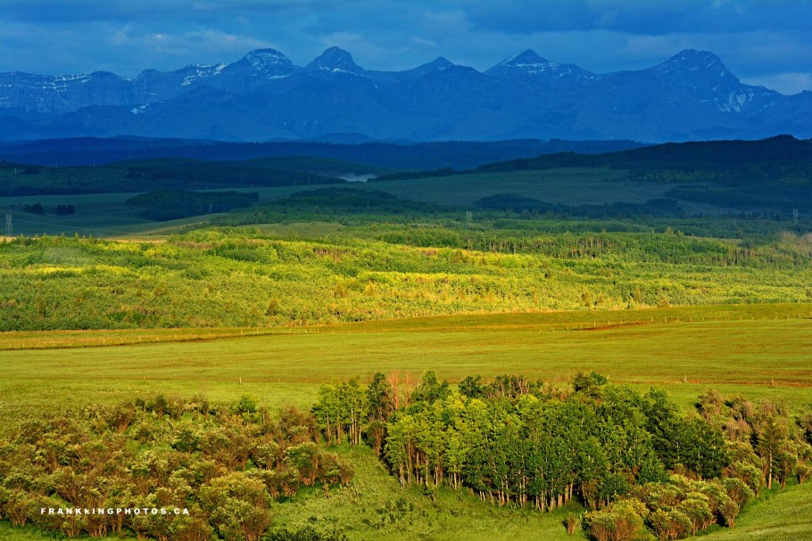 Джексонские прерии