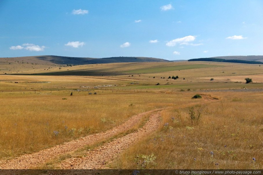 Великие равнины сша