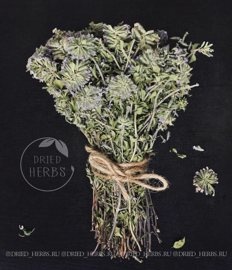 Целебные горные травы