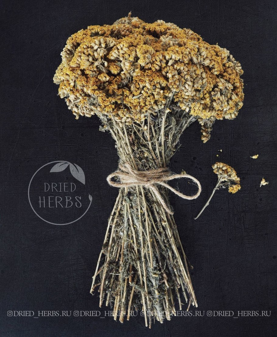 Дагестанские травы