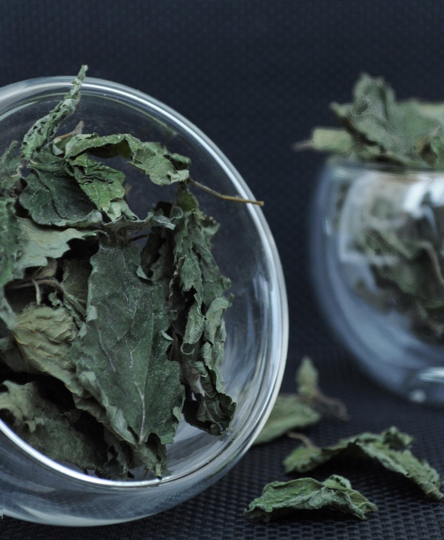 Целебные травы Дагестана