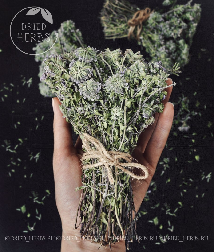 Целебные травы Дагестана