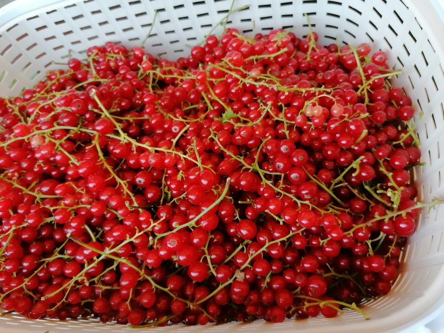 Смородиновое настроение