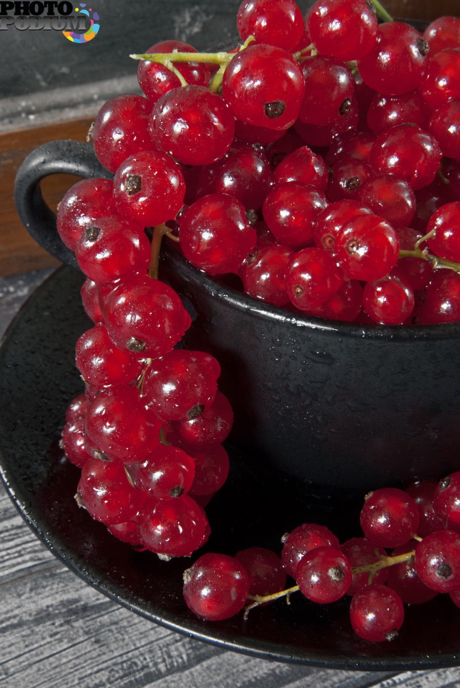 Смородина красная Константиновская