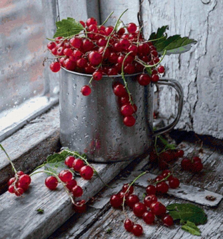 Вишня с красной смородиной