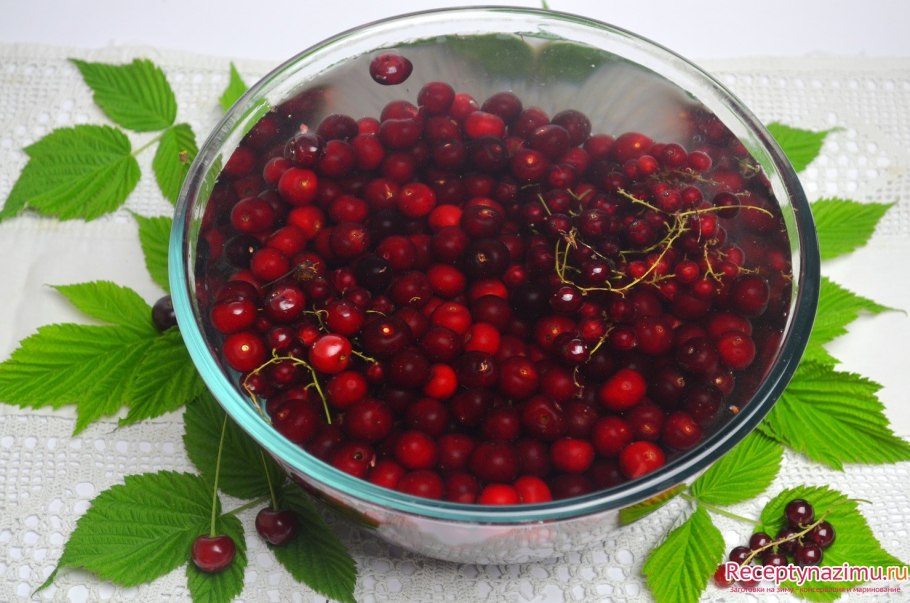 Красная смородина в бидоне