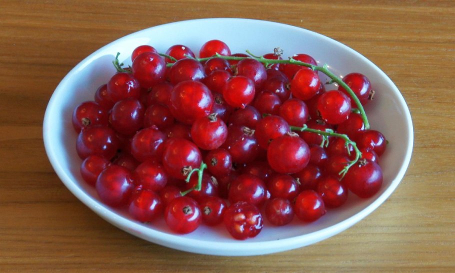 Смородина красная уральская красавица