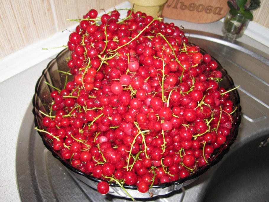 Смородина красная в ведерке