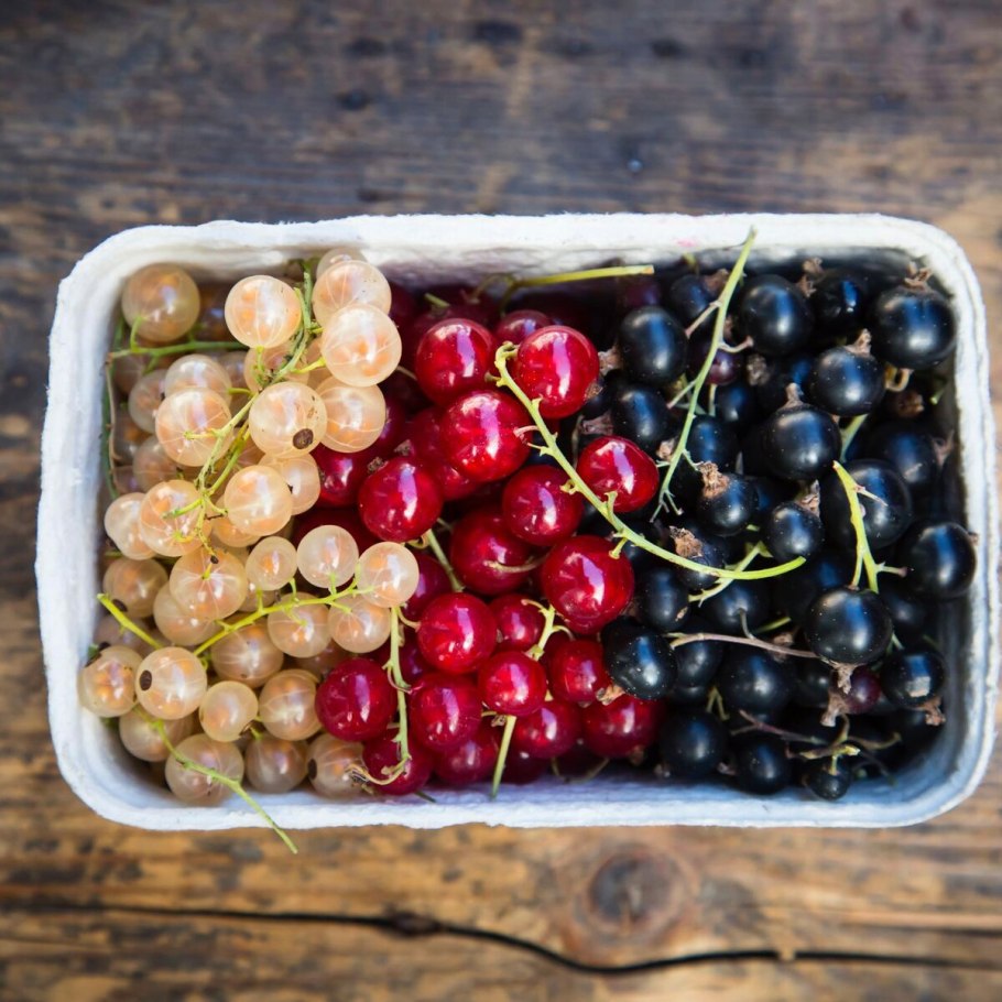 Смородина черешневая