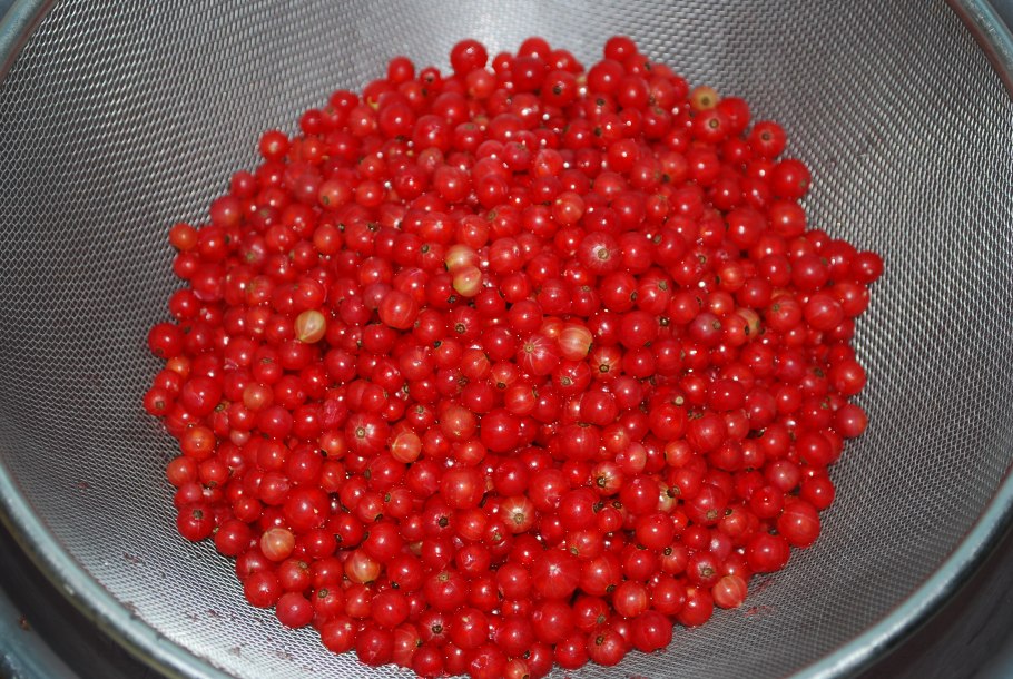 Черная смородина в ведре