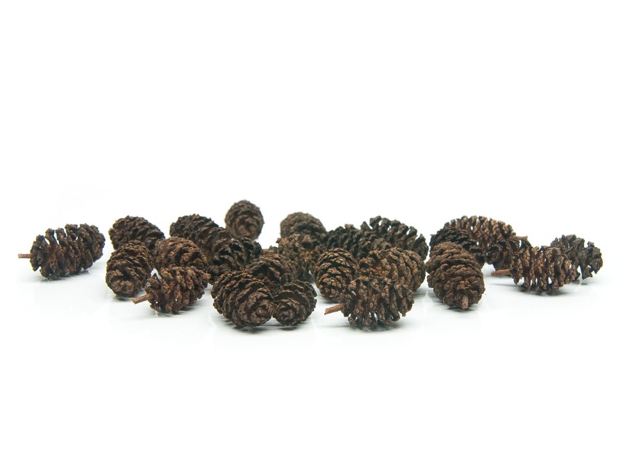 Смола ольхи свойства