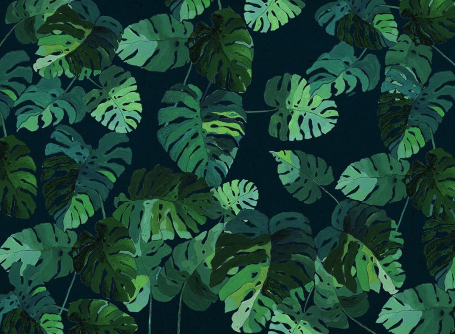 Растения монстры