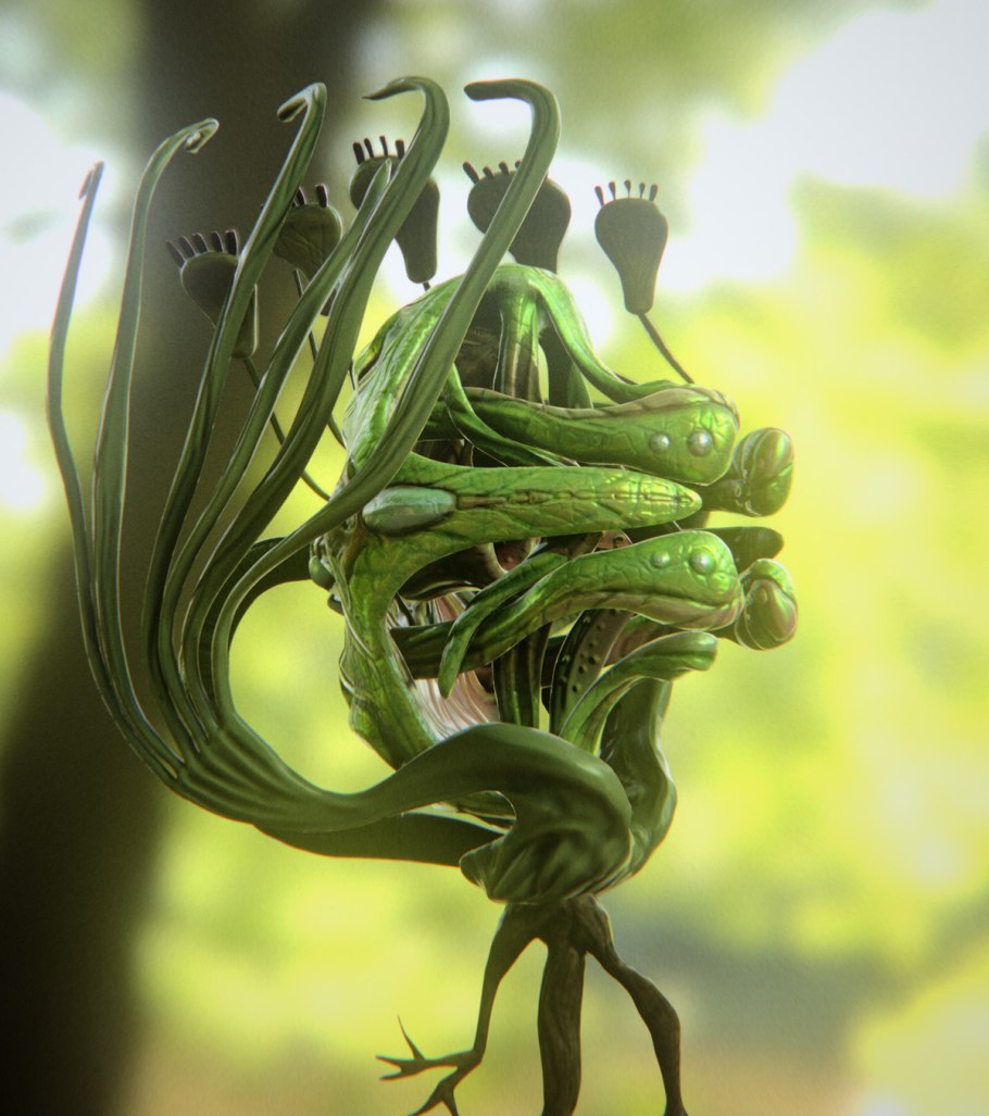 Монстера Плант