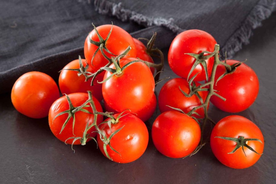 Крупноплодные сорта томатов для открытого грунта