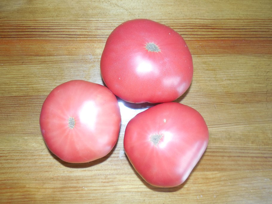 Томат баловень судьбы