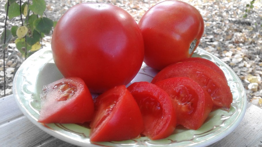 Томат сорт моя любовь