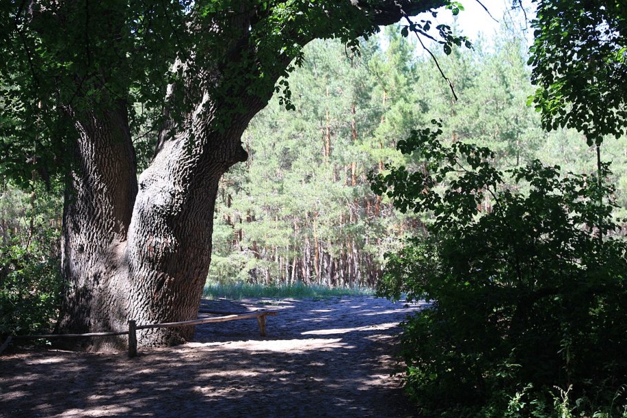 Памятник живой природы