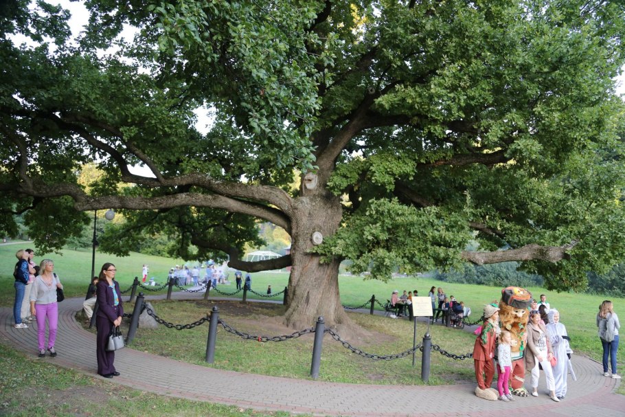 Шолоховский район мероприятия и акции