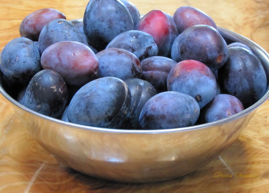 Слива Чачакская Липотица