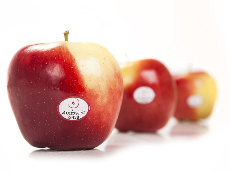 Яблоки амброзия