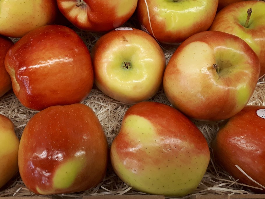 Сорт яблок амброзия