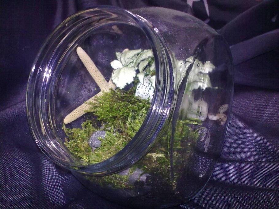 Темно серо-зеленая лишайник в лесу