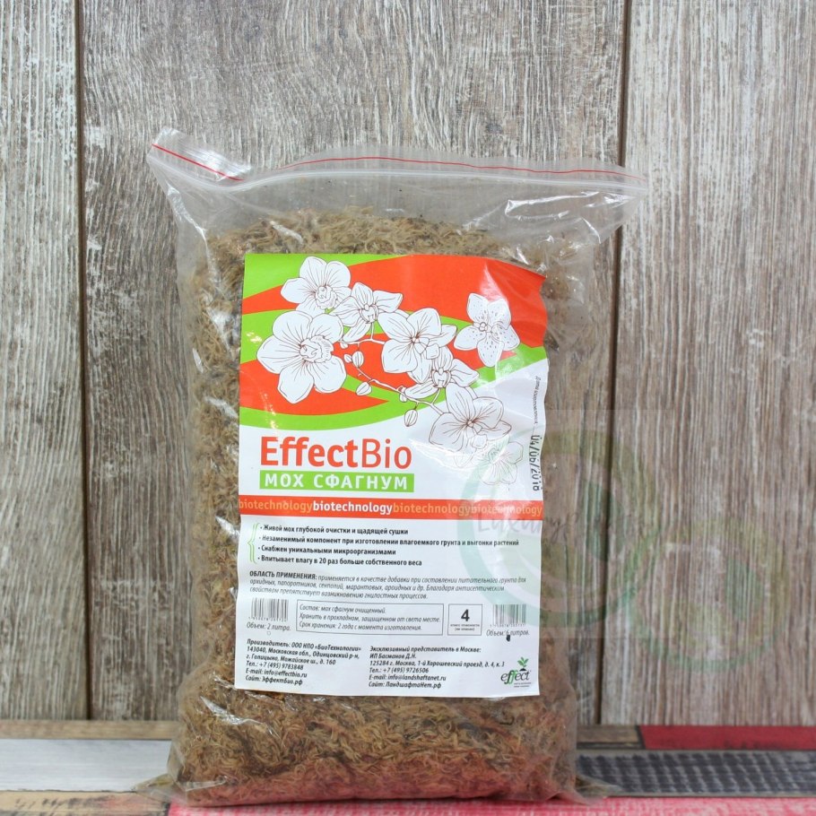 Мох для орхидеи фаленопсис