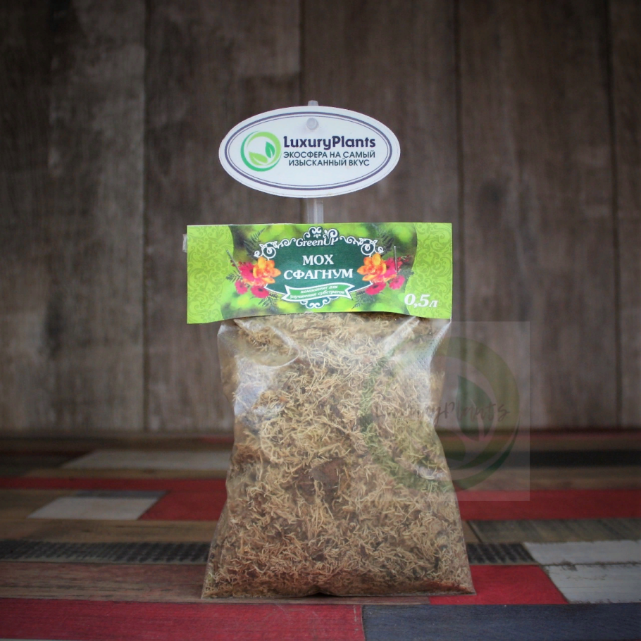 Мох сфагнум живой для орхидей