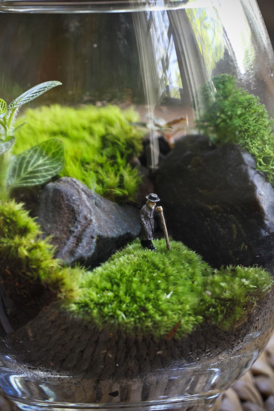 Палюдариум тропические джунгли