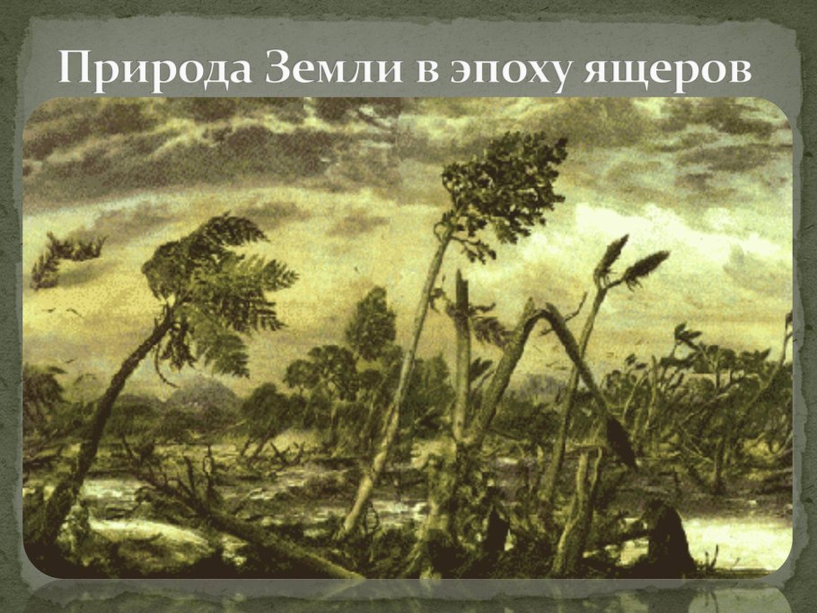 Кордаиты палеозойской эры