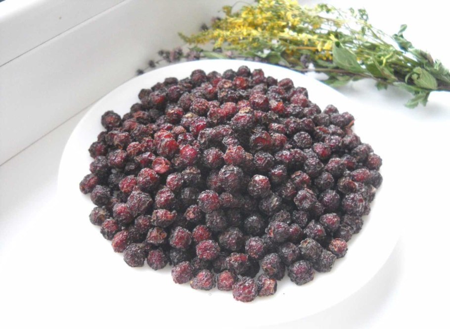 Щавель обыкновенный, кислый