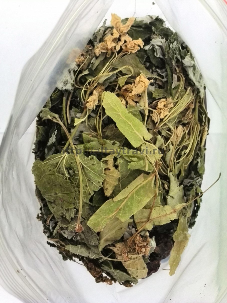 Смородина Комарова