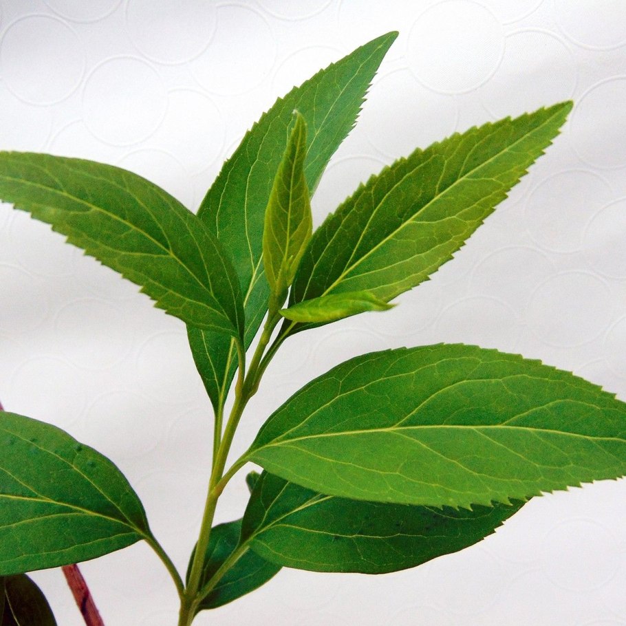 Дугообразные отводки