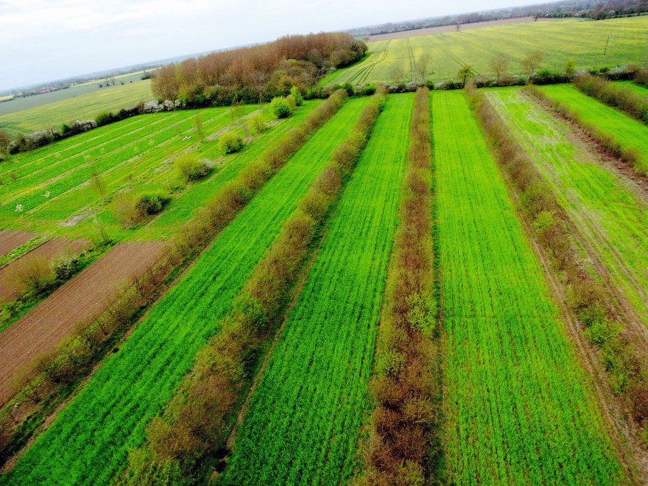 Многопольный севооборот в Англии