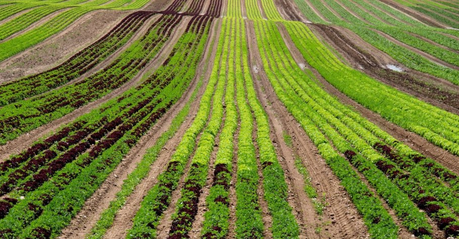 Почвозащитное земледелие