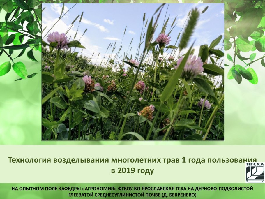 Технология возделывания трав