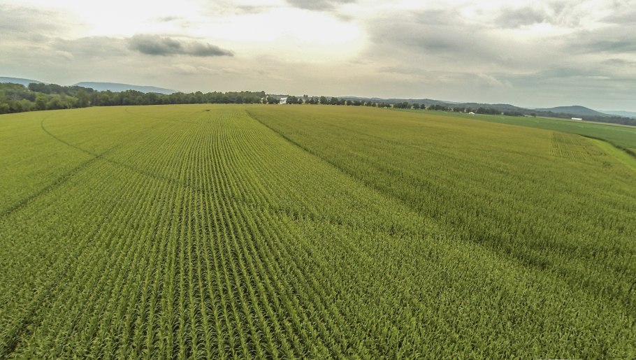 Пропашная система земледелия