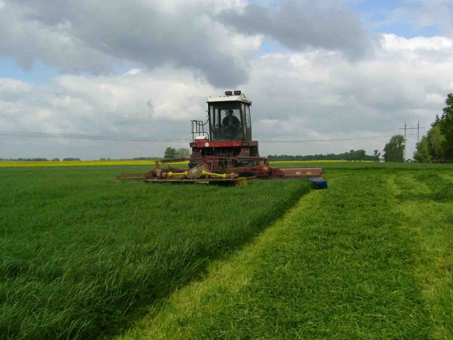 Укос многолетних трав