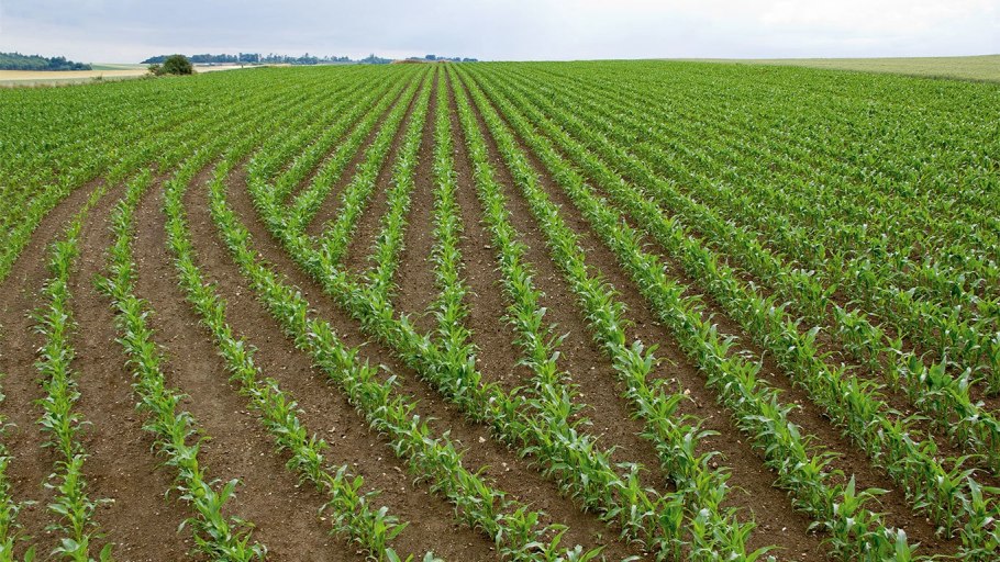 Травопольная система земледелия