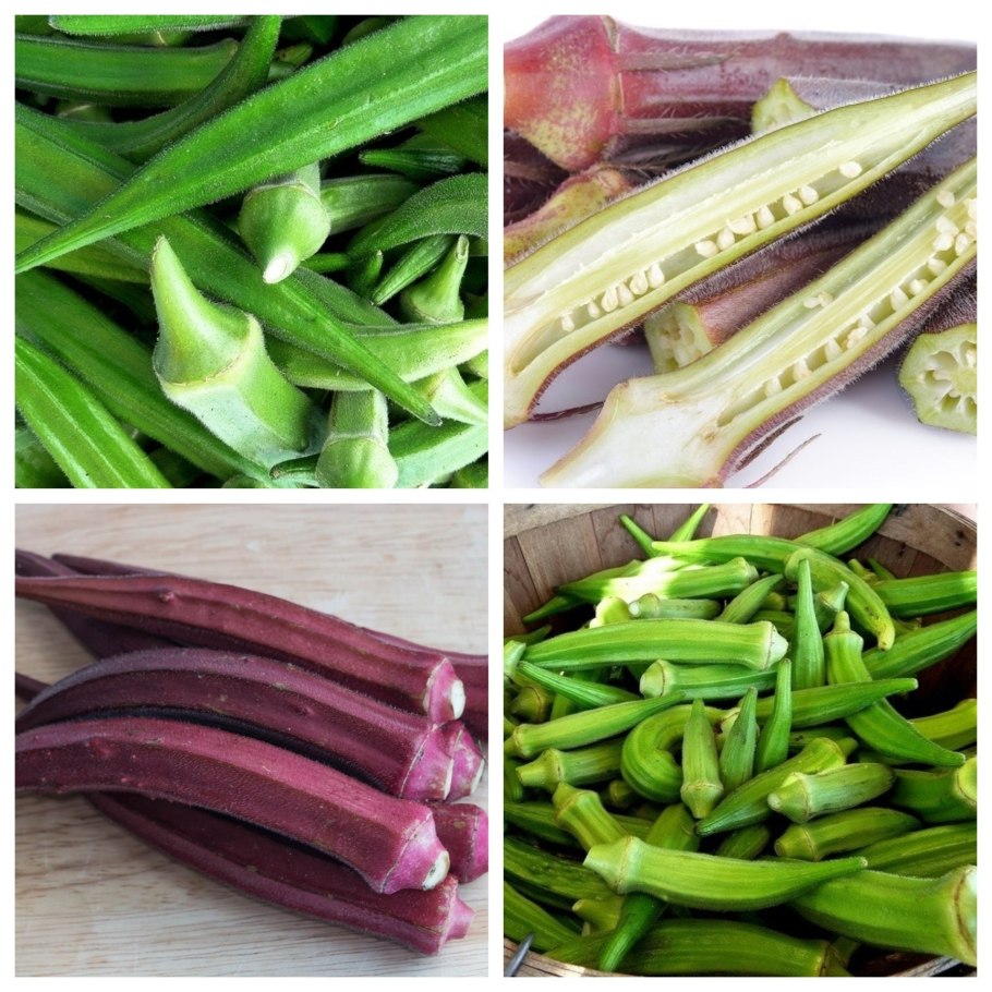 Окра семена